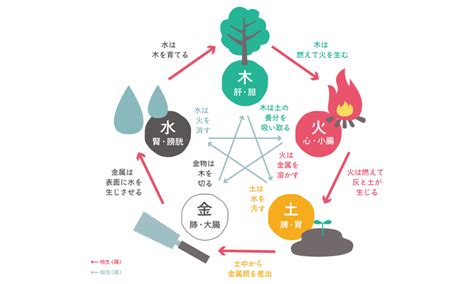 五行 陰陽師|陰陽五行説｜基礎知識から法則、具体例についてわか 